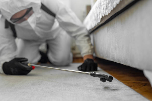 Professional Bed Bug Control technician working in Albany, IN