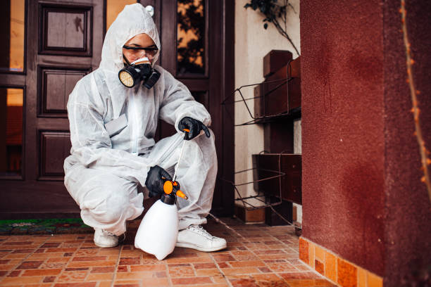 Reliable Bed Bug Control contractor in Albany, IN by Nex Pest Control