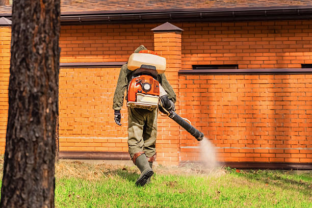 Trusted Cockroach Control service in Albany, IN - Nex Pest Control
